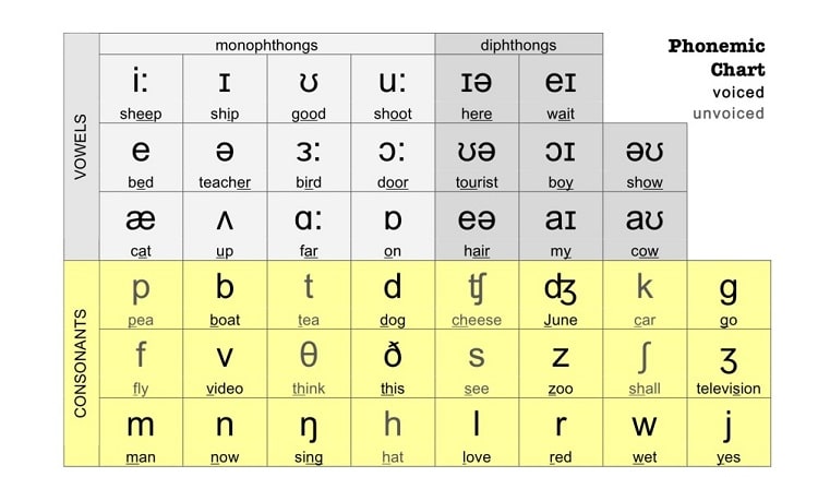 20 nguyên âm và 24 phụ âm trong tiếng Anh