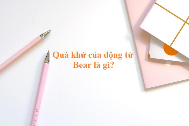 Quá khứ phân từ của Bear là gì? V1, V2, V3 của Bear chính xác nhất