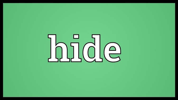 Quá khứ phân từ của Hide là gì? V1, V2, V3 của Hide chính xác nhất