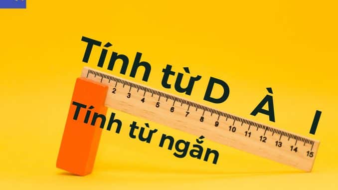 Tất tần tật về Tính từ ngắn và Tính từ dài trong tiếng Anh