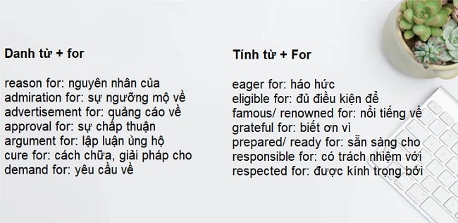 Trước for là loại từ nào