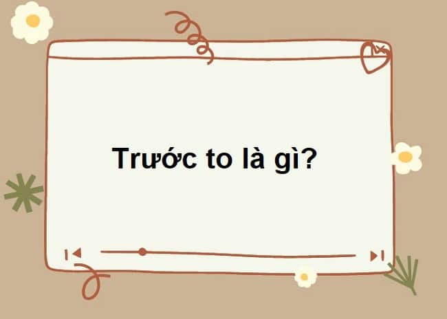 Trước to là gì, loại từ nào? Trước to là danh từ hay tính từ