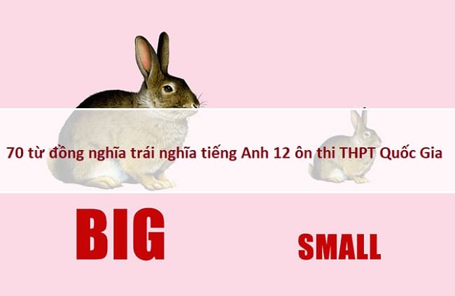 70+ từ đồng nghĩa trái nghĩa tiếng Anh 12 ôn thi THPT Quốc Gia