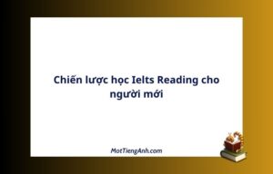 Chiến lược học Ielts Reading cho người mới