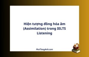 Hiện tượng đồng hóa âm (Assimilation) trong IELTS Listening