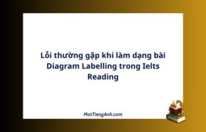 Lỗi thường gặp khi làm dạng bài Diagram Labelling trong Ielts Reading