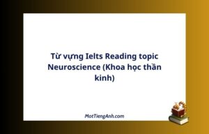 Từ vựng Ielts Reading topic Neuroscience (Khoa học thần kinh)
