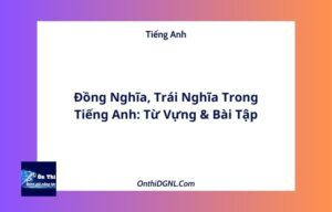 Đồng Nghĩa, Trái Nghĩa Trong Tiếng Anh: Từ Vựng & Bài Tập