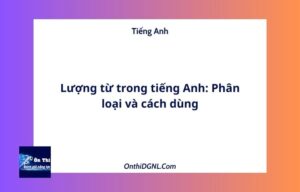 Lượng từ trong tiếng Anh: Phân loại và cách dùng